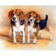 beagle-puppy-dog.jpg